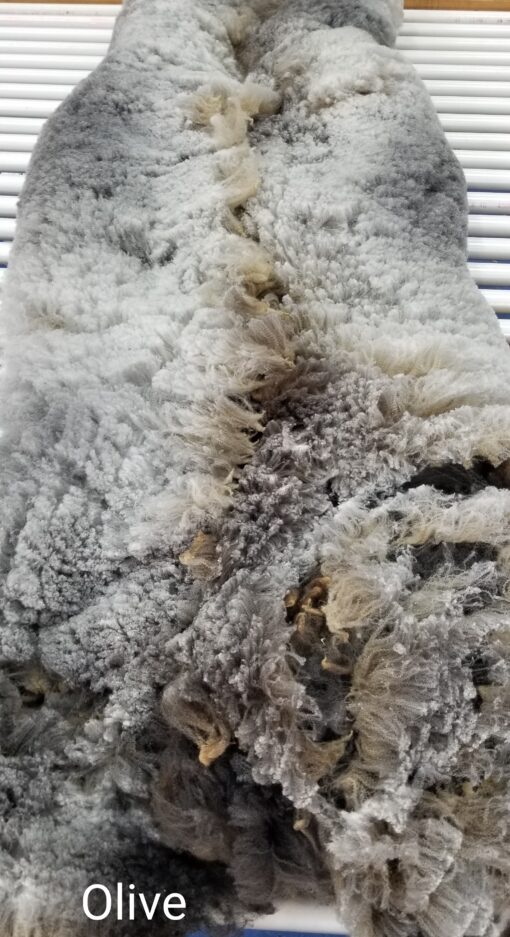 A close up of the fur on a dog coat