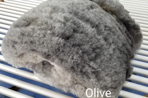 A close up of the olive color on a cat.