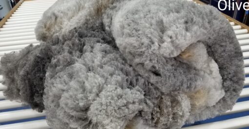 A close up of some gray wool