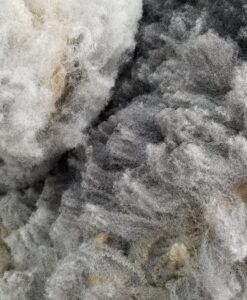 A close up of the wool in the pile.