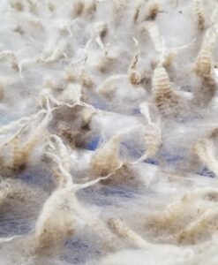 A close up of some grass in the sand