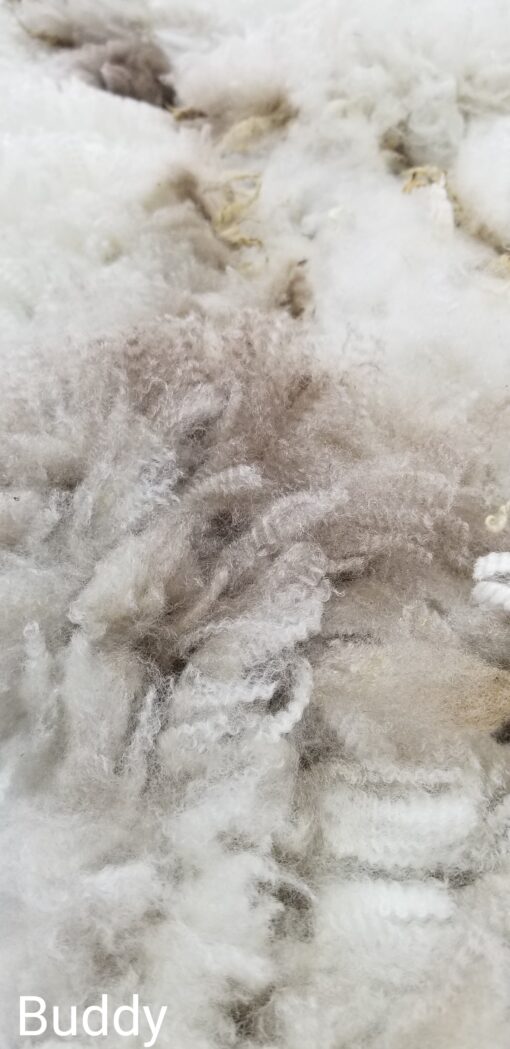 A close up of some white and brown wool