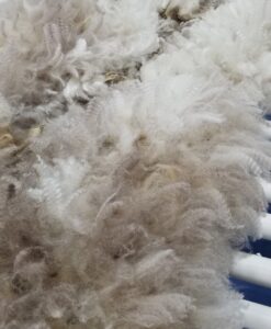 A close up of some white and brown fur