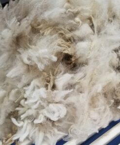 A pile of wool is shown in this picture.