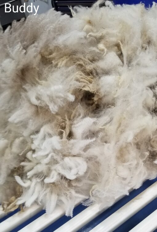 A pile of wool is shown in this picture.