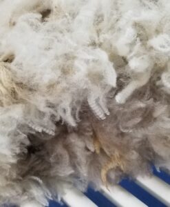 A close up of some white wool