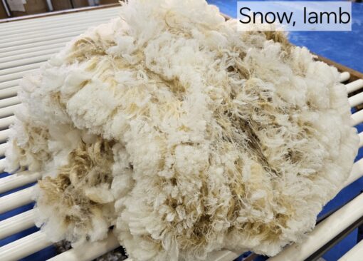 A pile of white wool on top of a table.